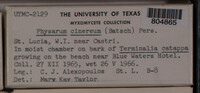 Image Associated With the Occurrence